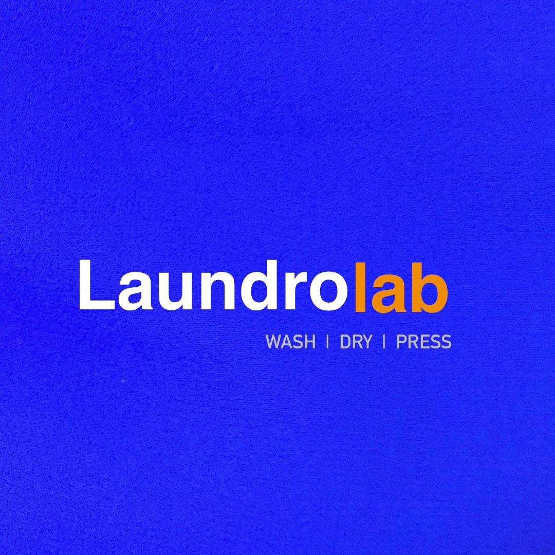 PANDA LAUNDRY Logo